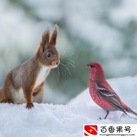 老公玩陌陌要不要去管
