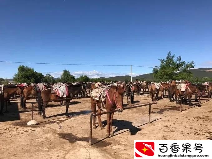 云南旅游最佳路线 去云南旅游要多少钱