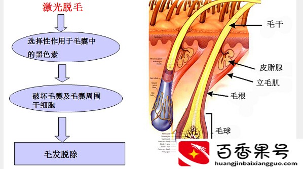 男生胡子长太快怎么办？