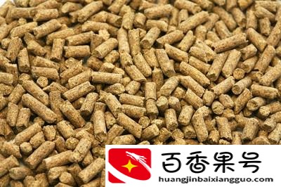 小金鱼吃什么食物家里食物