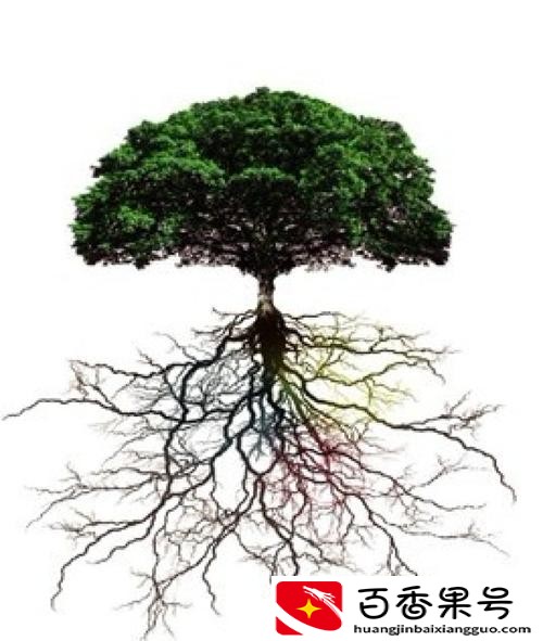 什么是企业家精神