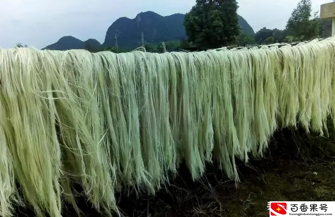 怎样才能从网上买到高品质的衣服