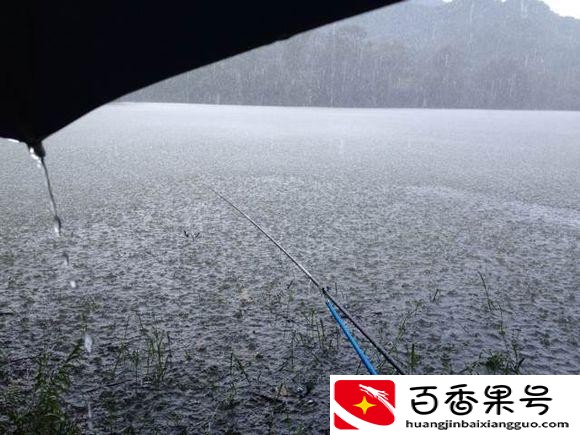 下雨天可以钓鲢鳙吗