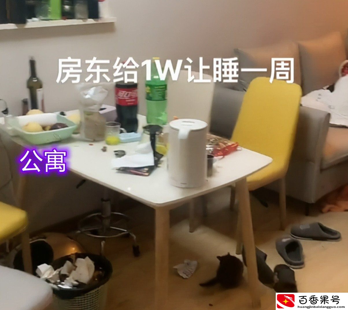 我40岁做过保安，试睡两次凶宅赚了2w，第二次带了三只公鸡