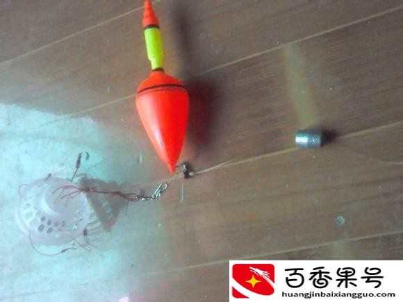 夏天钓鲢鳙钓多深最好
