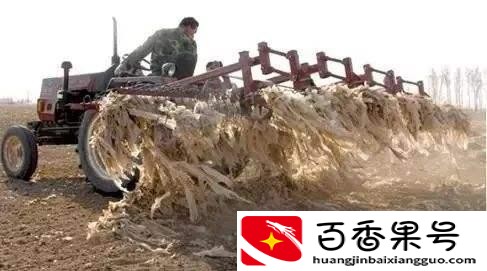 土壤污染源种类有哪些