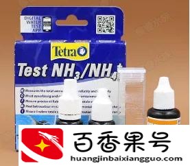 鱼缸水质浑浊怎么处理方法