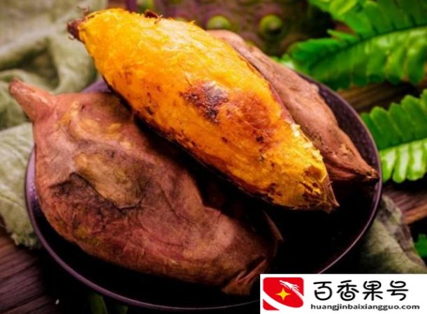 农村一个人干啥挣钱