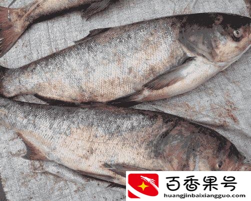 晚上钓鱼钓底还是钓浮
