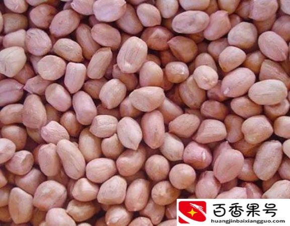 花生的生长期是多少天