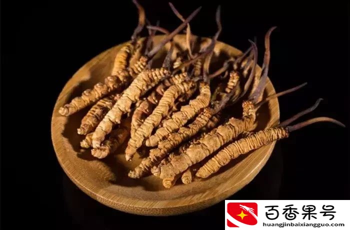 比黄金还贵的冬虫夏草, 被国家食药监除名, 30年的骗局就此瓦解