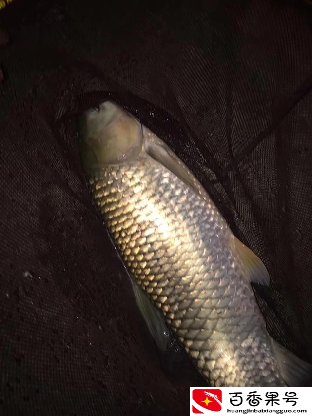 天热钓鱼钓深水还是浅水
