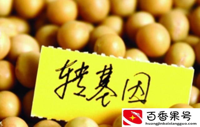 常见转基因水果有哪些？