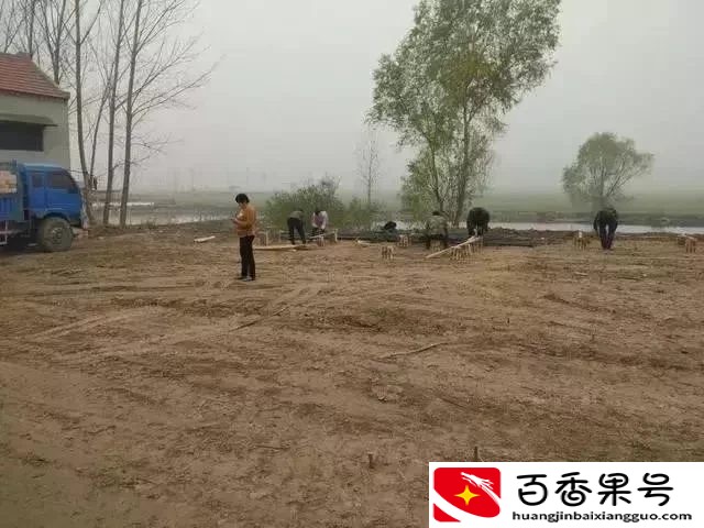 实拍丨小伙20万买地皮，花18万建村里最美别墅，城里2套房都不换