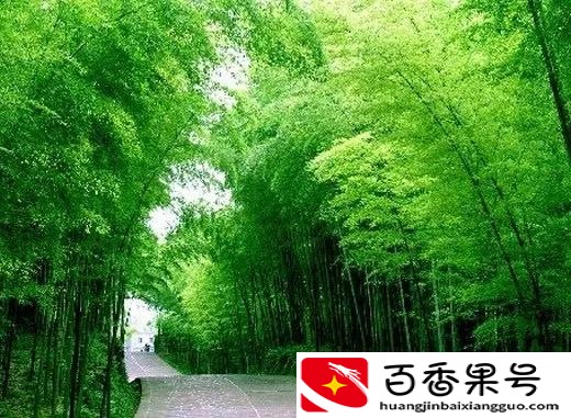 为什么要反对唯心主义？