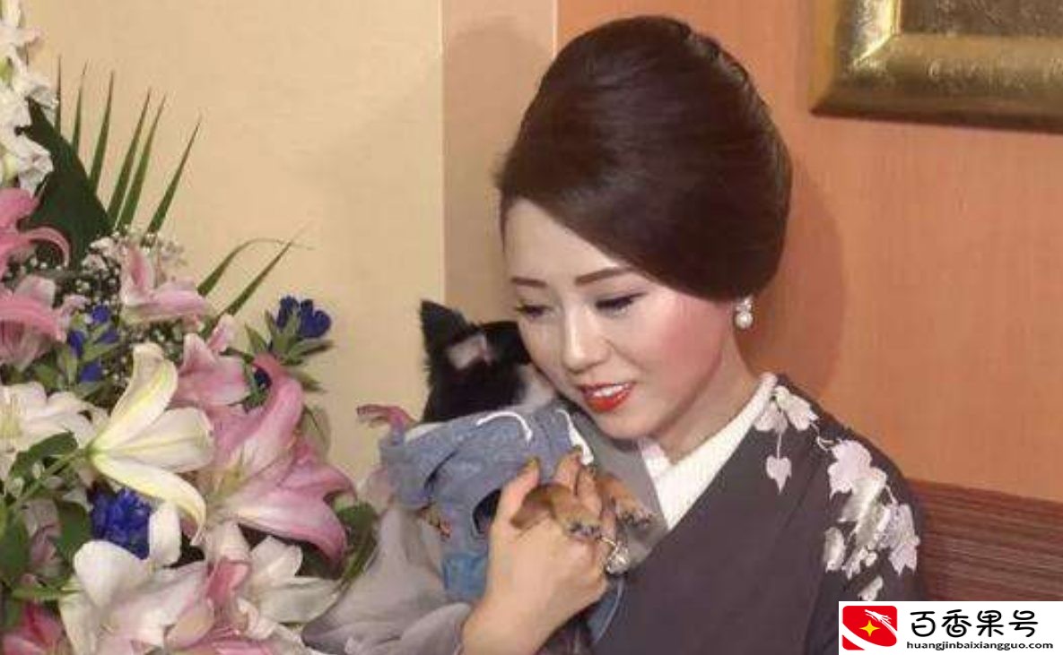 妈妈桑到底是个什么职业？和老鸨一样吗？