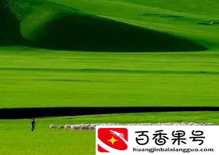 这个随手一拍都能惊艳朋友圈的草原秘境，7-8月去正好
