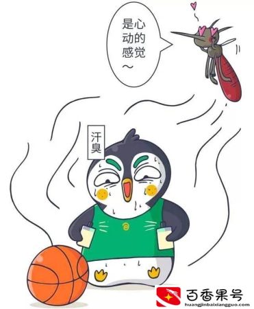 为什么空调房里没蚊子？