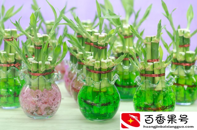 高考送祝福，怎么选礼物？这几种好，既有心意，又祝福满满