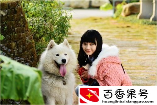 女人养狗的原因