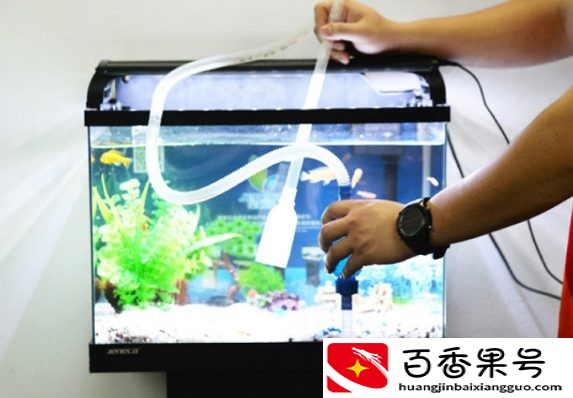 你的鱼缸会换水吗？鱼缸换水的正确方法