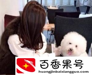 女人养狗的原因