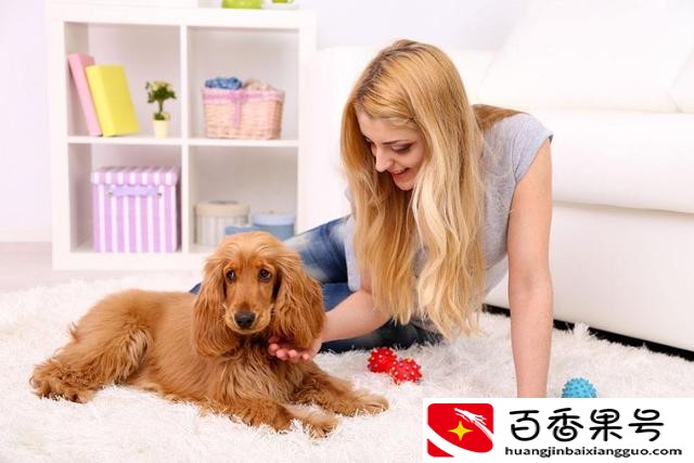 女人养狗的原因