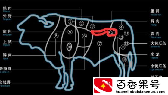 牛肉哪个地方的肉最嫩最好吃