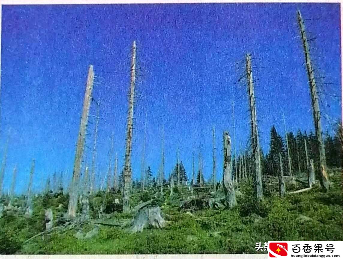 人类面临的主要环境问题