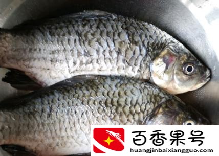 鱼汤用冷水还是热水