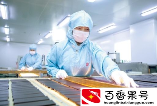 “神药”把戏被拆穿？一斤售价3000元，却被指出营养不如鸡蛋