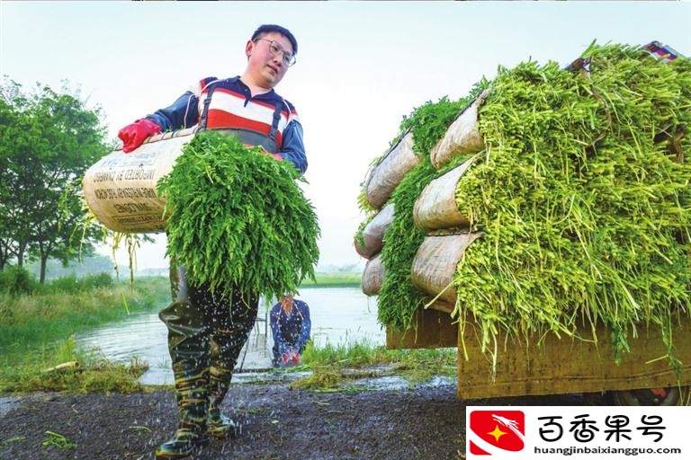 致敬劳动者 | 常州劳动者之歌