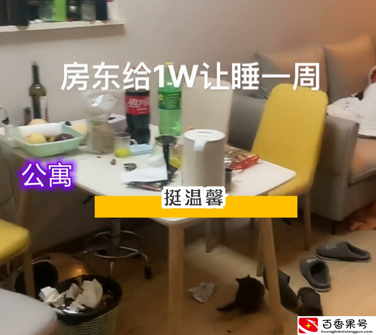 我40岁做过保安，试睡两次凶宅赚了2w，第二次带了三只公鸡
