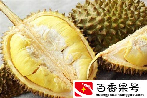 榴莲有点硬是不是没熟