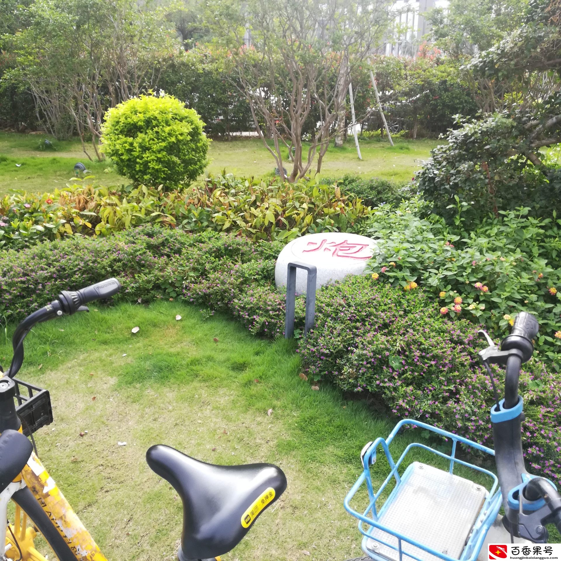 实拍东莞：东莞最繁华的街头，正在地铁站出口，高楼林立