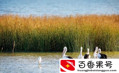 生物多样性的三个层次