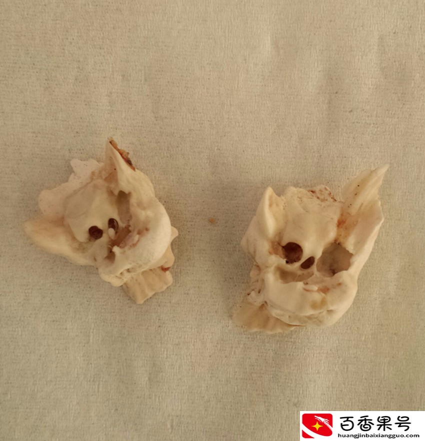 在农村，这些物件都是可以辟邪的，看看你有吗