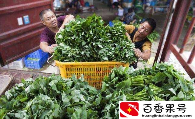 城市配送行业怎么样
