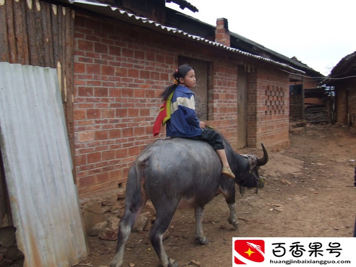 云南贫困地图：云南还存在哪些国家级贫困县？