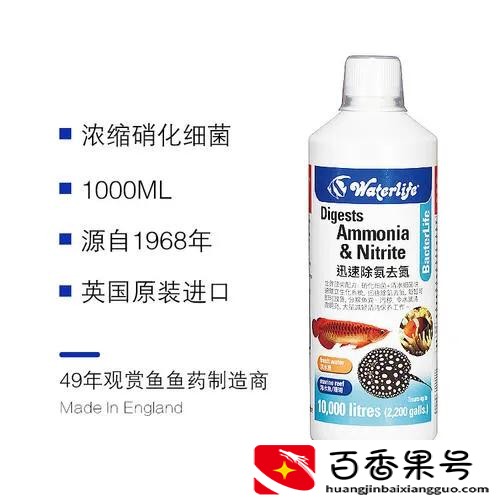 鱼缸水质浑浊怎么处理方法