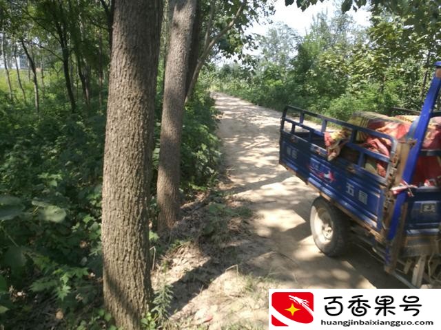河南最穷的五个城市