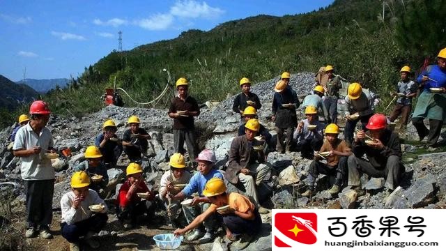 五十岁学点啥技术比较实用