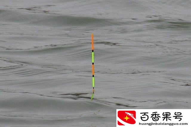 晚上钓鱼钓底还是钓浮
