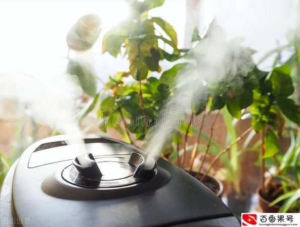 加湿器有用吗？加湿器会不会对身体不好？