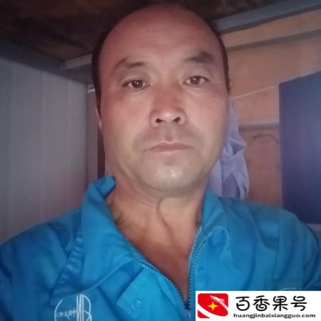 五十岁学点啥技术比较实用