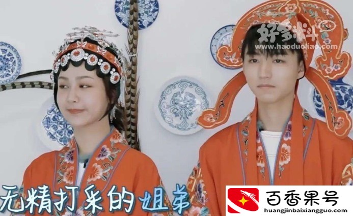 王俊凯会追杨紫吗，王俊凯与杨紫一起合作了哪些作品？