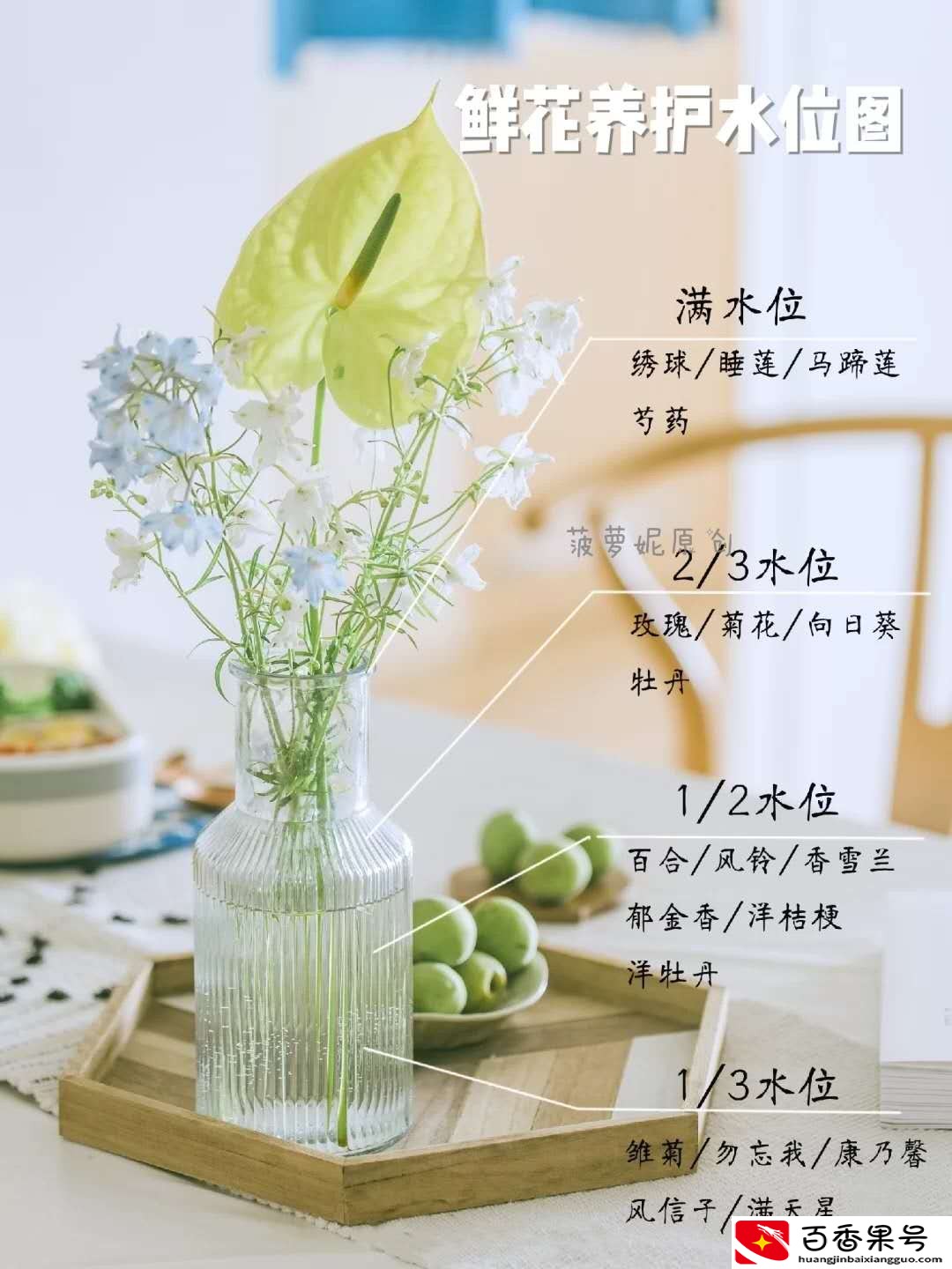 为什么你的玫瑰花两三天就死了？