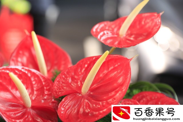 高考送祝福，怎么选礼物？这几种好，既有心意，又祝福满满