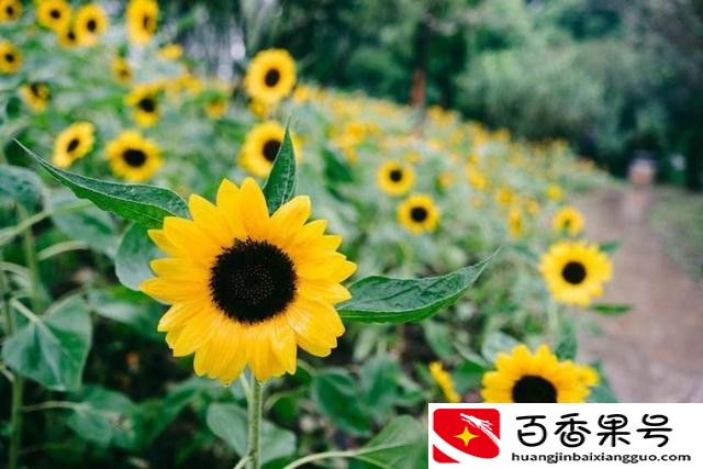 暗示别人还钱的朋友圈