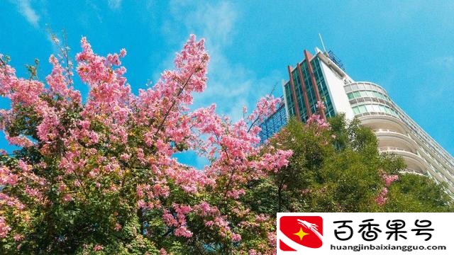 广州市的二本高校，想留在广深的外省考生可以考虑